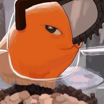 laZzzanga's profile picture. ¿