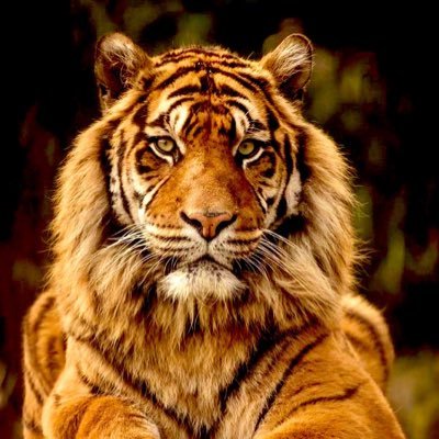 ONLY here for Truth and Opinions are my own https://t.co/nTpocja6vt OUR AMERICA WE HAD B4 Traitors and RINOS SOLD US OUT TRUMP is RITE bout everything ELON ROCKS OF COURSE MAGA