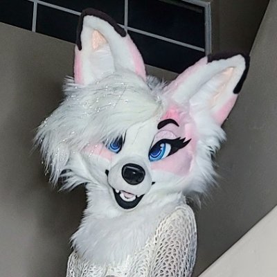 24 m. 🌈Cotton candy leggy. Minors dni 🔞. @Glitzy_Fox Fursuiter . Taken💞 (closed) by @Tiramisu_Puppy
