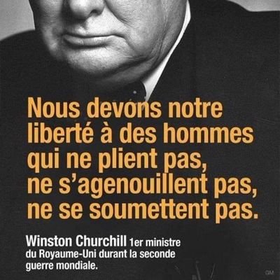 Acteur citoyen, acteur économique,ingénieur passionné par les nouvelles technologies, humaniste engagé, Europeen de convictions,Elu local,engagement politique