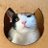 FabenhorPvd's profile image