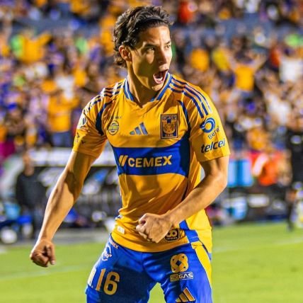 Feeeer2022's profile picture. 