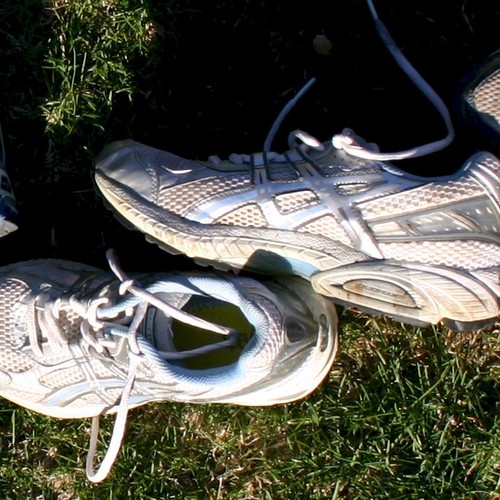 TrainEveryday's profile picture. I run the http://t.co/r9Cro8vzi5 website for runners, bikers, swimmers or any combination of all three. Drop by anytime for training talk, race tips and fun!