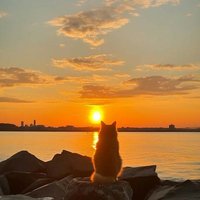 Remziye (@r_27891) Twitter profile photo