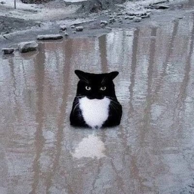 sqenth's profile picture. кремень-динамит