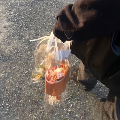 ar_mao8's profile picture. 好き放題やってるアカウントです。