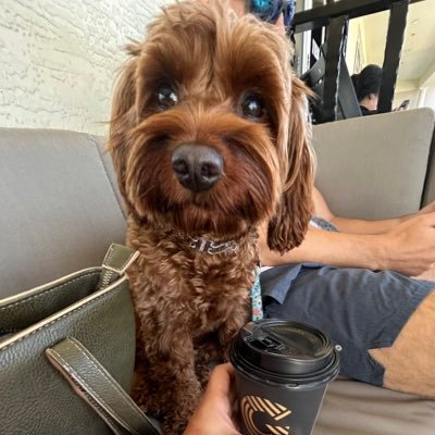 DDK1631880's profile picture. Web 3 fan | America first 🇺🇸 and a 🐕 lover | IFB ❤️