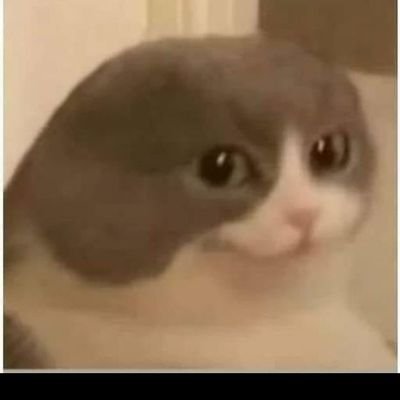 ZeuskeyAngra27's profile picture. 