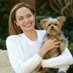 angelina Jolie (@jolie25049) Twitter profile photo angelina Jolie (@jolie25049) Twitter profile photo