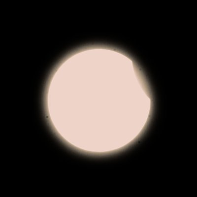 went2bitter's profile picture. went silly / multifandom / tmnt, lmk, clh, keroro, and others / proship and similar, russians DNI / support 🇺🇦 and 🇵🇸