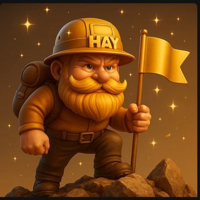 Harington_maxx's profile picture. HAYcoin on core chain , a project worth investing