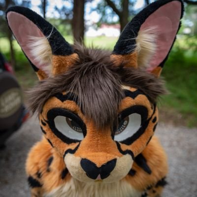 24 year old serval from Alabama. Plays with cars and cameras.
In a closed relationship with @OneAwkwardFox 💜
