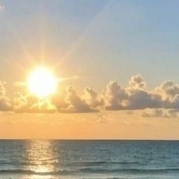 tuananhquan's profile picture. https://t.co/Ku4MeUBGOo