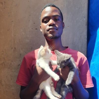 KazibweSad38424's profile picture. To rescue mistreated cats, abandoned one's by giving them a second chance in life ✨️ ♥️ ❤️