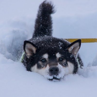 9r0Ka's profile picture. 