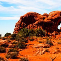 TiffanyPie20239's profile picture. 