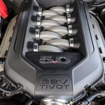 S197Justin's profile picture. 