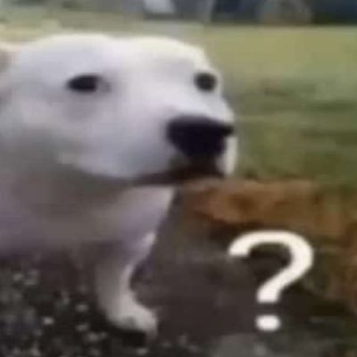 Jotchua___'s profile picture. 