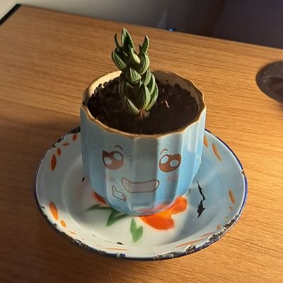 Artistaninha estudandoさんのプロフィール画像