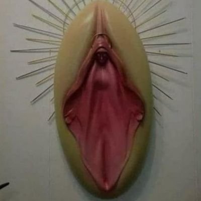 Daily vagina facts. Dispelling myths and educating. God is a woman. Mary with the halo is the vulva pointing out ignorance of the clit. Ran by a white he/him