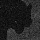 . (@v0m1t_p4p) 's Twitter Profile