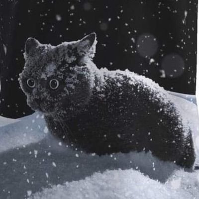 Justice isStarving🚀🚀🚀🚀🚀🚀🚀 Profile