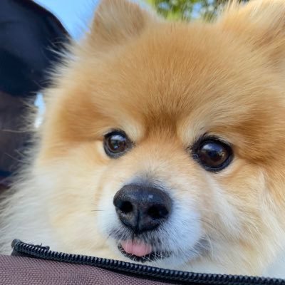 makisoの酒場さんのプロフィール画像