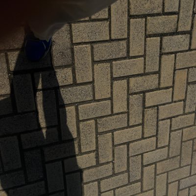 Danny443511's profile picture. 