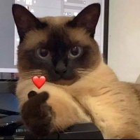 เรามีแครอทนะ 🥕 (@pvvaee) 's Twitter Profile