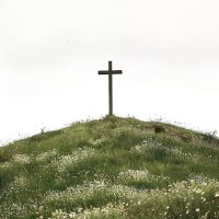 Zachary Taylor ✝️ (@zstay1) 's Twitter Profile