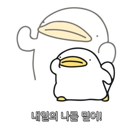 kimding0's profile picture. 