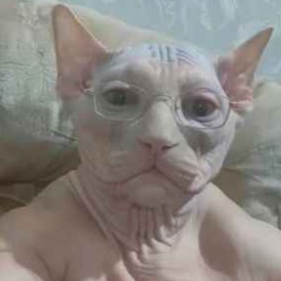UserIs_NotAlive's profile picture. 