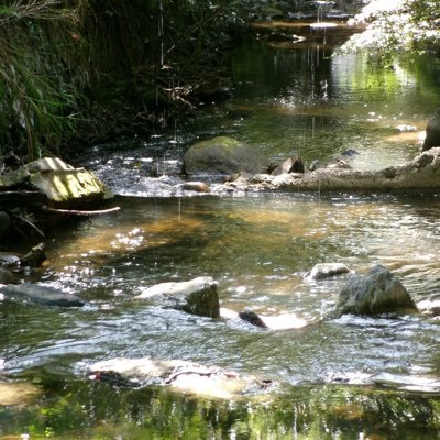 core_ryu2's profile picture. 