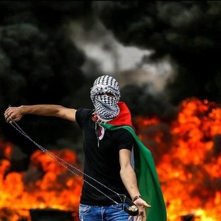 hassan7741106's profile picture. ✨لن يصادفك الحظ بشخص مثلي مرتين✨