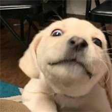 Jack_lo1127's profile picture. love lingorm❤️❤️❤️