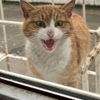 Deryakerem (@deryakerem81) Twitter profile photo