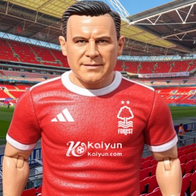 Passionate #NFFC tricky🌲 fan who also dabbles with technology