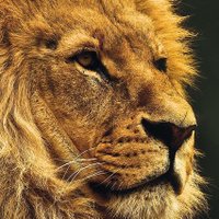Doris (@doris_doc1) 's Twitter Profile