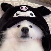 น้ำเต้าหู้ (@cando2012a) 's Twitter Profile