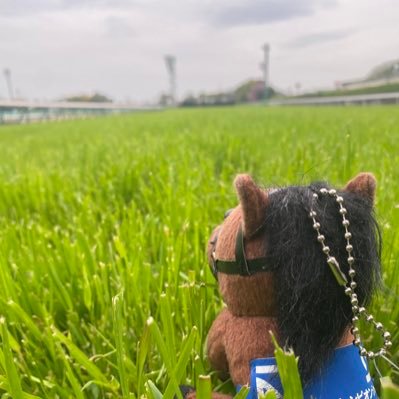 MeviusSymboli's profile picture. ウマ娘、競馬が好き。ウマ娘から競馬入りました。基本的にみんな好き。全人馬無事に引退をしてください。 一勝より一生。人にも言えることですね。ちなみにアイコンは中山の芝とグランアレグリア