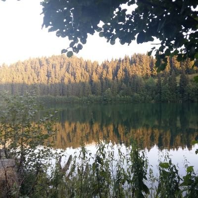 aktel_hanife's profile picture. 