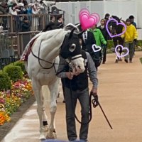 新人 (@ayyakko_8) 's Twitter Profile