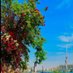نورهان ✨ (@bader710418) Twitter profile photo نورهان ✨ (@bader710418) Twitter profile photo