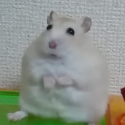 araya4126's profile picture. Shipper/情報収集、壁打ち用アカウント/20↑成人済です/洋画・アジア映画中心に映画が好き