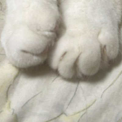 （停止）さんのプロフィール画像