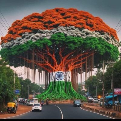 DipMondal137027's profile picture. 