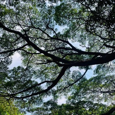 amartyadey88's profile picture. Indian First.