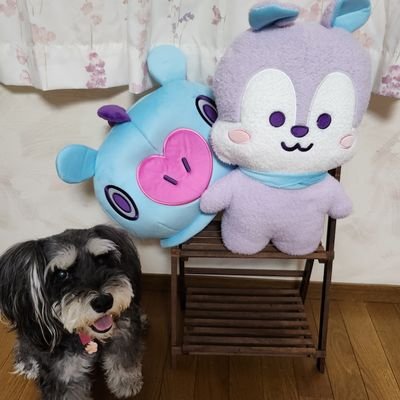 ホビ寄り寄り🐿️のオルペン🐨🐹🐱🐿️🐥🐻🐰⟭⟬ ⟬⟭バンタン大好きすぎる田舎の大人ARMY💜
ミニチュアシュナウザー♀とマルックス♀と暮らす犬ばか🐶
無言フォロー失礼致します🙇♀️