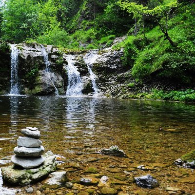 sho_seoblog's profile picture. 7個のブログを運営中。3個のブログを売却済み。Xはじめました。