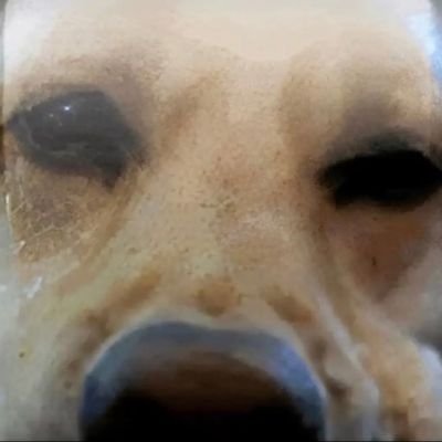 hautdawq's profile picture. 